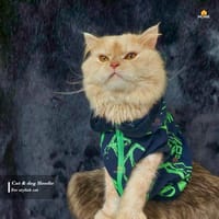 cat hoodie (10 kg)_img_0