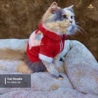 cat hoodie (2.5 kg)_img_2