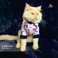 cat hoodie custome_img_1
