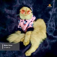 cat hoodie custome_img_2