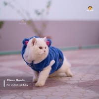 cat panda hoodie custome_img_0