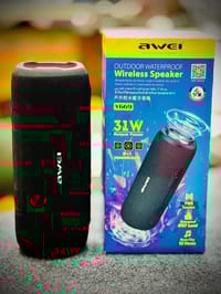 Awei Y669 Bluetooth Waterproof Outdoor Dual Speaker (31W)_img_0