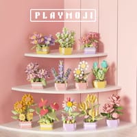 Time Lover-Potted plant_img_1