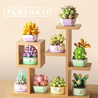 Succulent-Full House_img_1