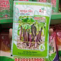 হাইব্রিড বেগুন পার্পল কিং। Purple King Eggplant F1_img_0