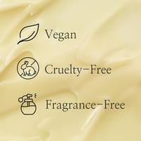 Beauty of Joseon Revive Eye Serum : Ginseng + Retinal 30ml_img_7