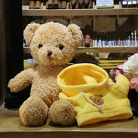 Sweater Bear Plush Toy Dressing Teddy Bear Doll_img_3
