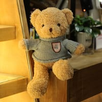 Sweater Bear Plush Toy Dressing Teddy Bear Doll_img_5