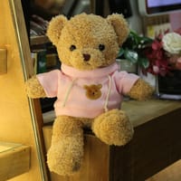 Sweater Bear Plush Toy Dressing Teddy Bear Doll_img_7