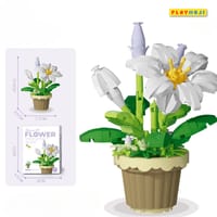 Lily potted plants_img_1