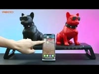 🐶RECCI RSK-W18 BullDog Wireless Speaker with Microphone_img_8