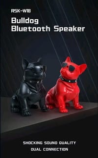 🐶RECCI RSK-W18 BullDog Wireless Speaker with Microphone_img_3