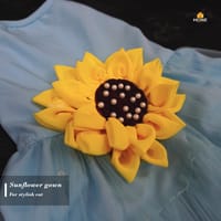 cat frock (3.5 kg)_img_1