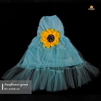 cat frock (3.5 kg)_img_2