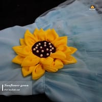 cat frock (3.5 kg)_img_3