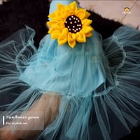 cat frock (3.5 kg)_img_4