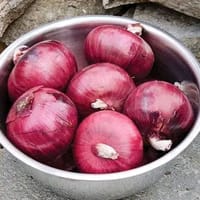 তাহেরপুরি পেঁয়াজ বীজ । onion seeds_img_0