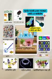 কুইন ক্যাসেল একুরিয়াম মাছ ছাড়া ১৭ আইটেম ফুল সেটাপ ৪লিটার ক্যাপাসিটি_img_0
