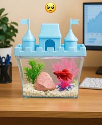 কুইন ক্যাসেল একুরিয়াম মাছ ছাড়া ১৭ আইটেম ফুল সেটাপ ৪লিটার ক্যাপাসিটি_img_13