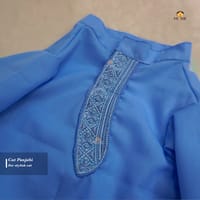 cat panjabi (4,5kg)_img_0