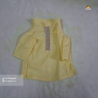 2.3 kg cat panjabi_img_0