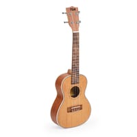 💥TGM 24 Inch Concert Ukulele_img_0