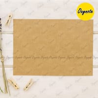 Blank Kraft Card by OXYNOTE - 25 Cards - 400GSM_img_1