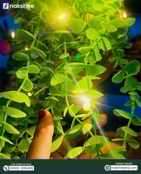 Birds Nest + Leaf + Light Combo_img_2