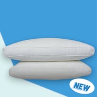 অরিজিনাল বিচি মুক্ত শিমুল তুলার বালিশ (২ পিস)_img_0