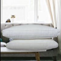 PREMIUM QUALITY EUROPEAN PILLOW (2 PCS)_img_0