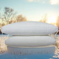 অরিজিনাল বিচি মুক্ত শিমুল তুলার বালিশ (২ পিস)_img_1