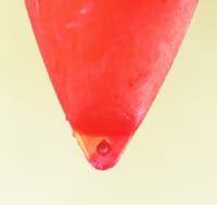 ভাসমান পাখনা ১০০গ্রাম (2 পিস)- Fishing floating stem 100gm (2 পিস)_img_1