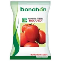 হাইব্রিড জাতের টমেটো বীজ বিজিএল - ৭৫৭ । Hybrid tomato seeds BGL - 757_img_0