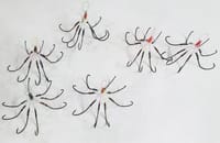 NK ঝুপা ৮ কাটা বড় সাইজ (৪ সুট )- Catu Kata_img_2