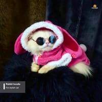 Rabbit cat hoodie (custome)_img_1