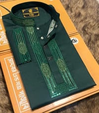 Premium Sequence Panjabi_img_2