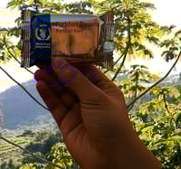 Fortified Energy Biscuits 20 pack_img_2