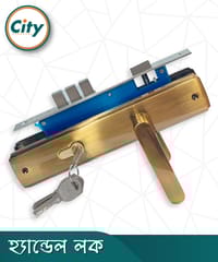 অনন্য রঙের উচ্চ সুরক্ষা স্ট্যান্ডার্ড সাইজের হ্যান্ডেল লক প্রধান দরজার লক Door Lock_img_1