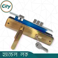 অনন্য রঙের উচ্চ সুরক্ষা স্ট্যান্ডার্ড সাইজের হ্যান্ডেল লক প্রধান দরজার লক Door Lock_img_2