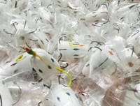 স্পেশাল তলো ভাসা ১০ কাটা (১ পিস) - Special bottom float 10 cut ( 1 piece )_img_1