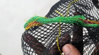 মাছ রাখার নেট ঘন - Fishing Net_img_3