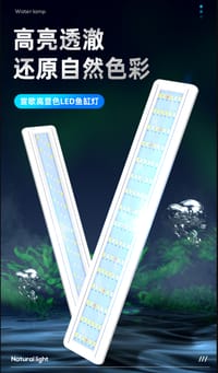 X-GD Full Spectrum Wrgb Lights.🌈_img_1