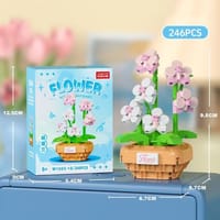 phalaenopsis -Potted Plant Series_img_0