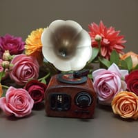 Vintage Mini Gramophone Showpiece – Classic Table Décor_img_2