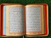 ৮ ইঞ্চি গোল্ডেন কভার কালার কোডেড কুরআন_img_1