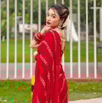 Waitless Jorjet Embroidery Sharee_img_2