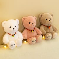 Adorable Bear Cub Plush Toy: Lucky Rag Doll for Children 28cm_img_0