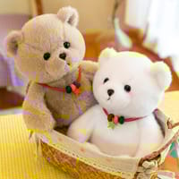 Adorable Bear Cub Plush Toy: Lucky Rag Doll for Children 28cm_img_1