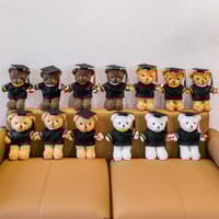 Premium Graduation Teddy Bear - 30 cm | The Perfect Gift for Children_img_1