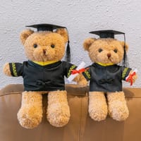 Premium Graduation Teddy Bear - 30 cm | The Perfect Gift for Children_img_0